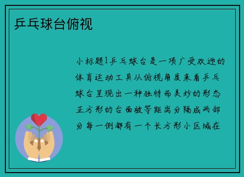 乒乓球台俯视