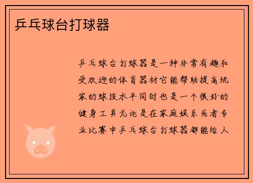 乒乓球台打球器
