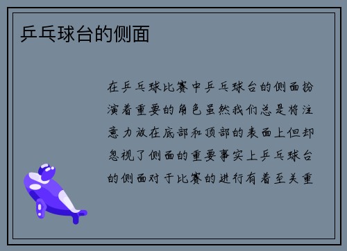 乒乓球台的侧面